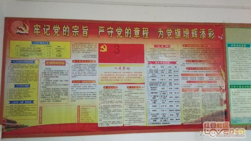 《无畏契约》定级赛最高段位介绍