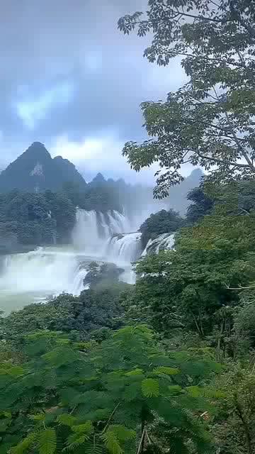 刚考出驾照不久，好像违章了，总感觉违章了，好像闯了黄灯或者红灯，但是不确定，怎么办？